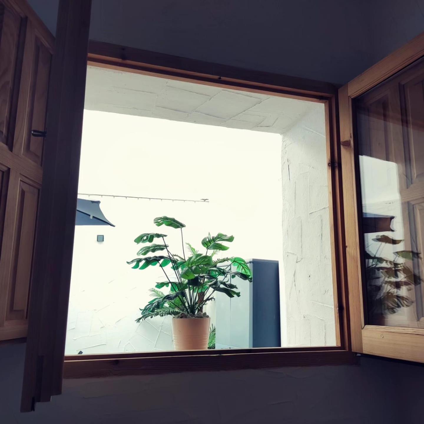Apartamento La Lola - Patio Privado 赫雷斯 外观 照片